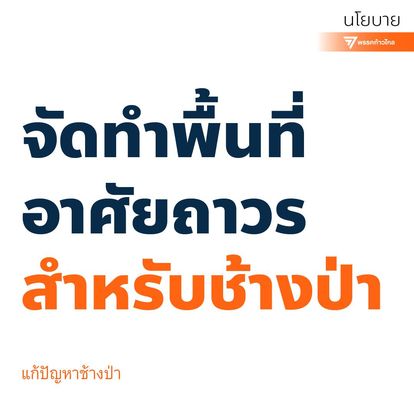 นโยบาย 300